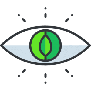 eye